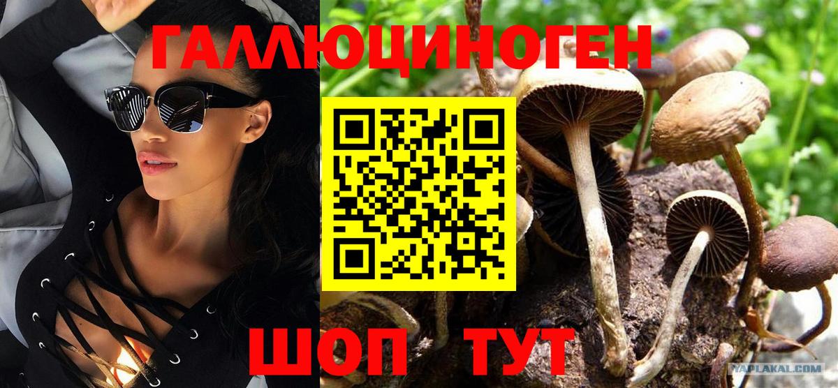 Галлюциногенные грибы Magic Shrooms Троицк