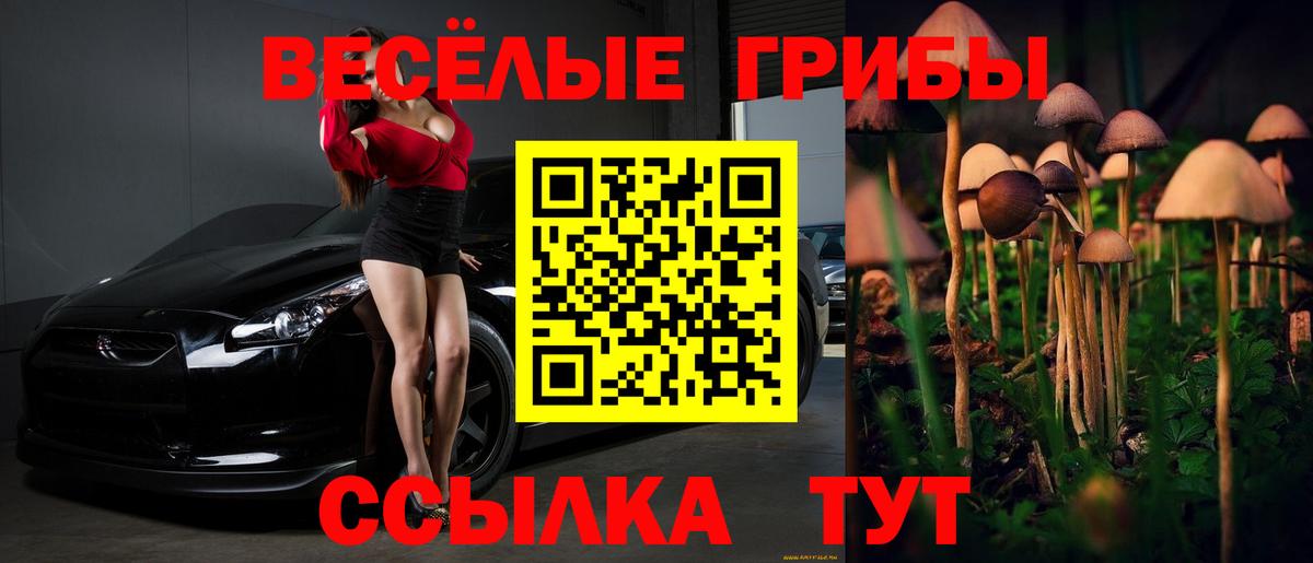 Троицк  где купить   Вход с VPN  Псилоцибиновые грибы MAGIC MUSHROOMS  Псилоцибиновые грибы мухоморы 