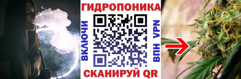 Бошки Шишки OG Kush  omg ссылки  Троицк 